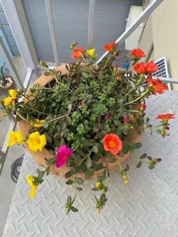 Centrocitta Luxury House * 아르고스톨리온