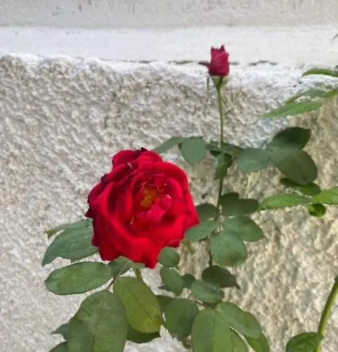 Centrocitta Luxury House 아파트 아르고스톨리온